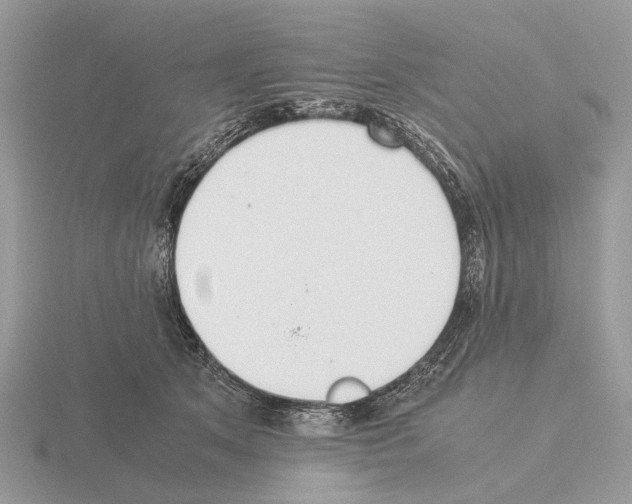 X0000115350513200912151339