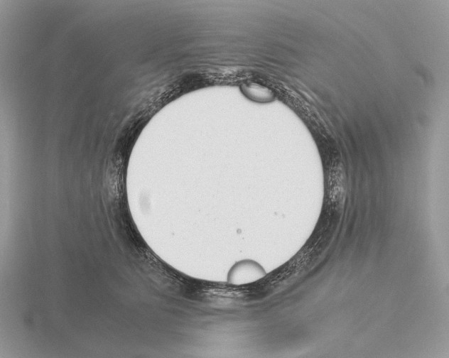 X0000115350515200912151339