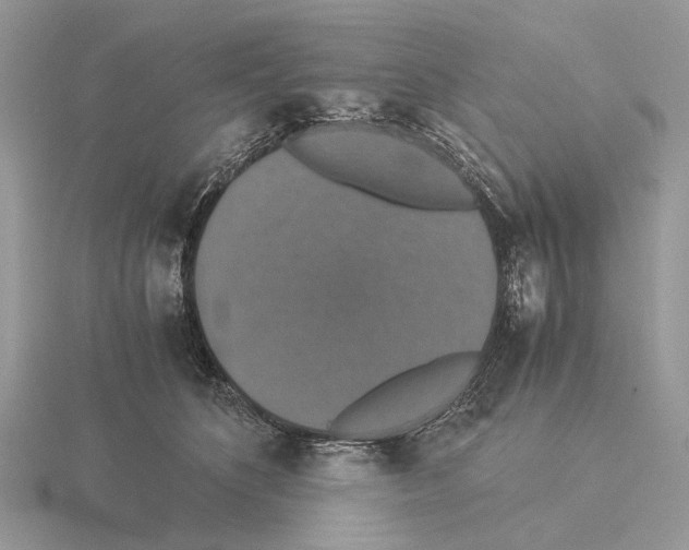 X0000115350516200912151339