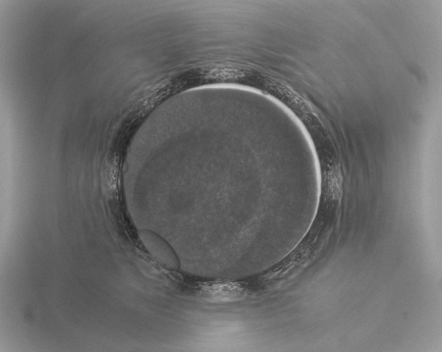 X0000115350517200912151339