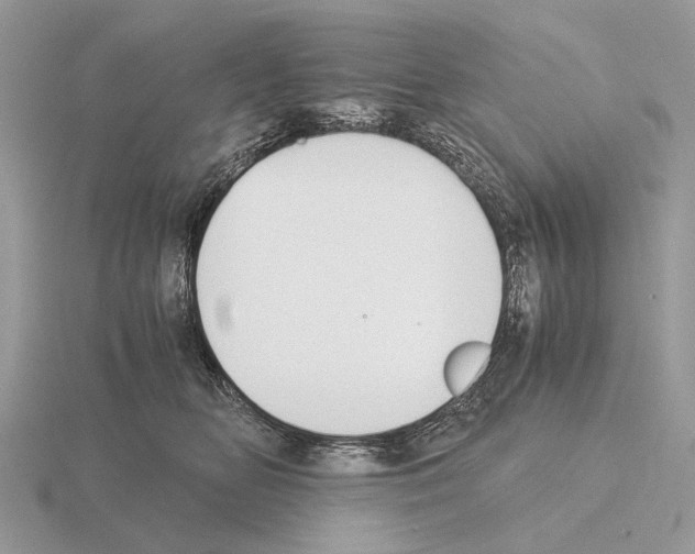 X0000115350518200912151339