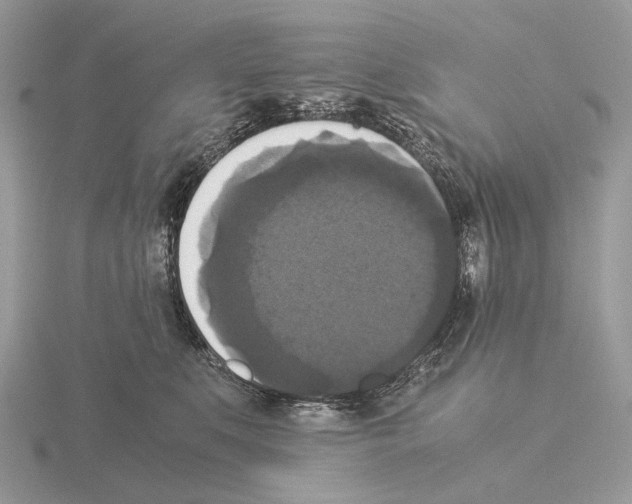 X0000115350519200912151339