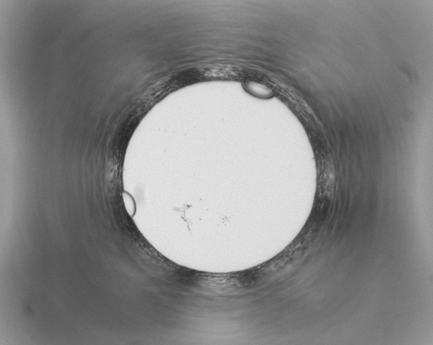 X0000115350521200912151339