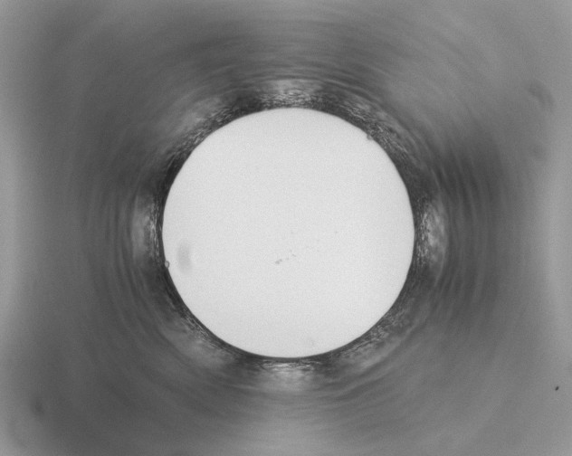 X0000115350522200912151339