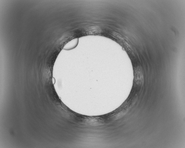 X0000115350523200912151339