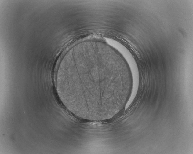 X0000115350524200912151339