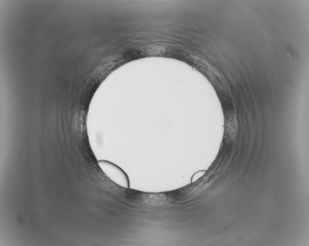 X0000115350525200912151339