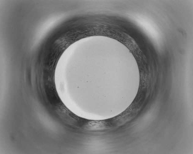 X0000115350526200912151339