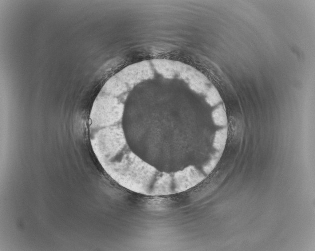 X0000115350527200912151339