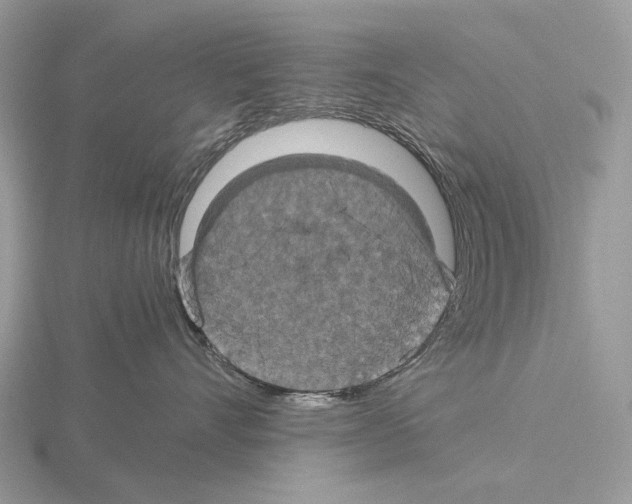 X0000115350528200912151339