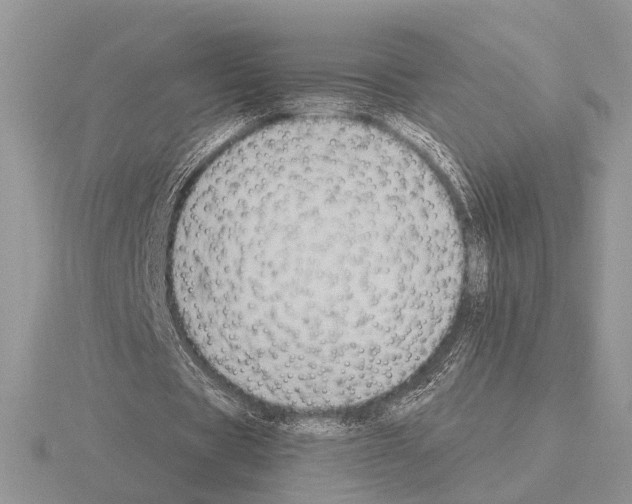 X0000115350529200912151338