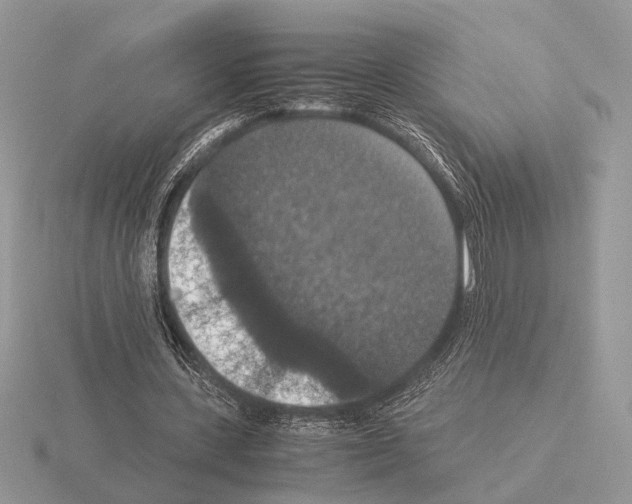 X0000115350531200912151338