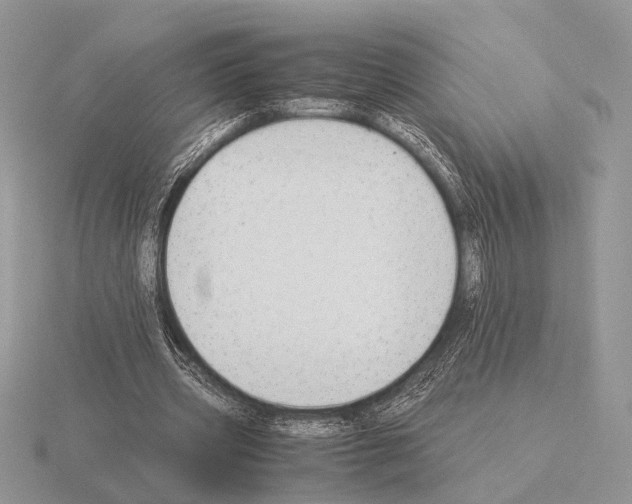 X0000115350533200912151338