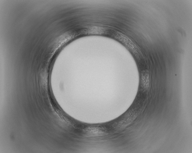 X0000115350534200912151338