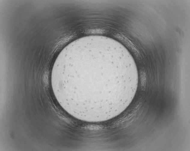 X0000115350537200912151338