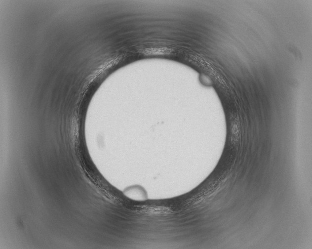 X0000115350539200912151338