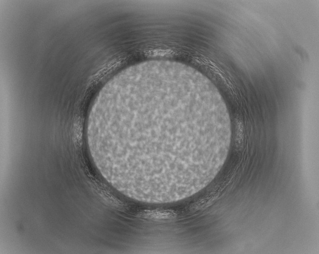 X0000115350545200912151338