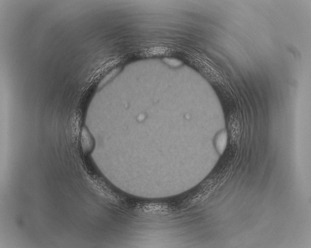 X0000115350546200912151338