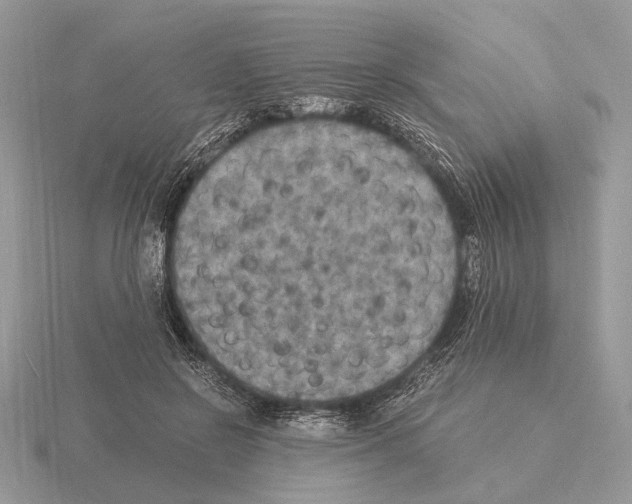 X0000115350550200912151338