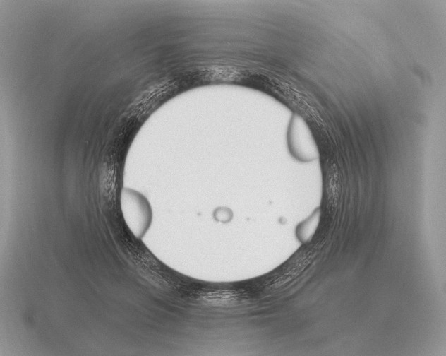 X0000115350551200912151338