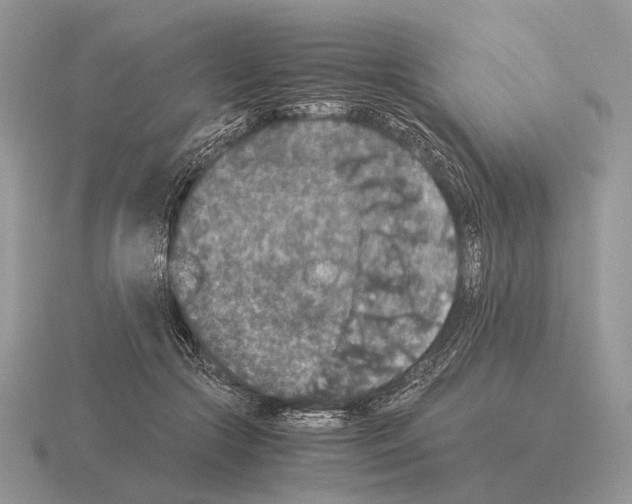 X0000115350553200912151338