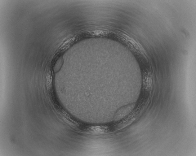 X0000115350558200912151338