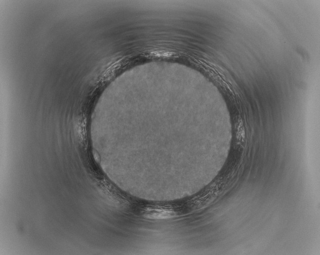 X0000115350559200912151338