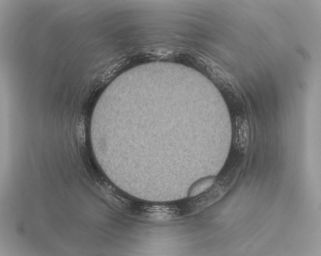 X0000115350562200912151338