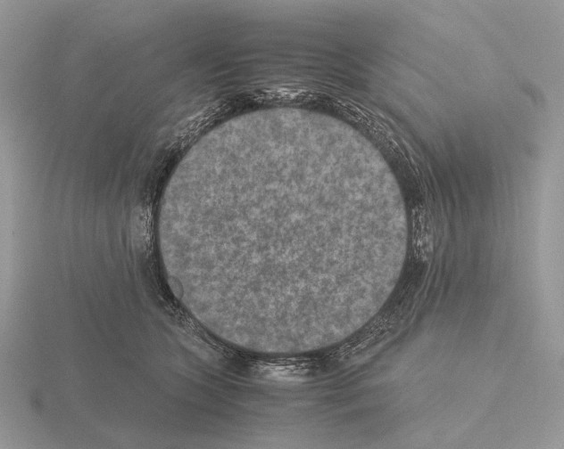 X0000115350563200912151338