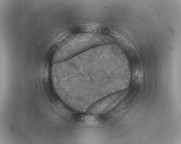 X0000115350566200912151338