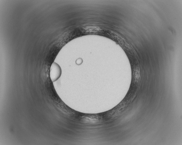 X0000115350567200912151339