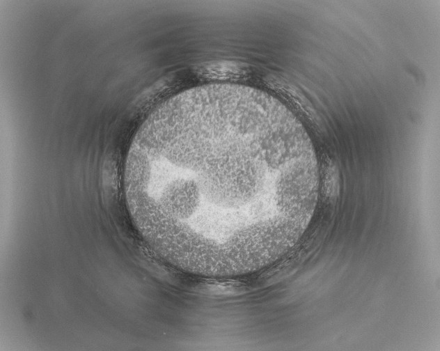 X0000115350569200912151339