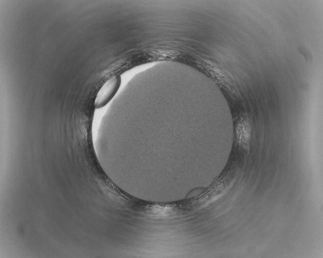 X0000115350570200912151339