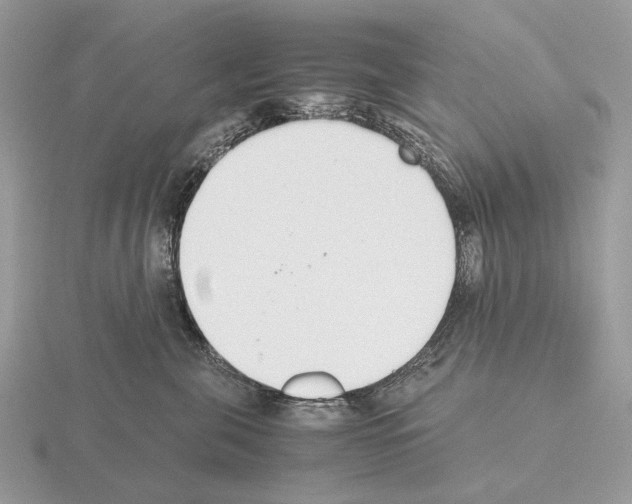 X0000115350571200912151339