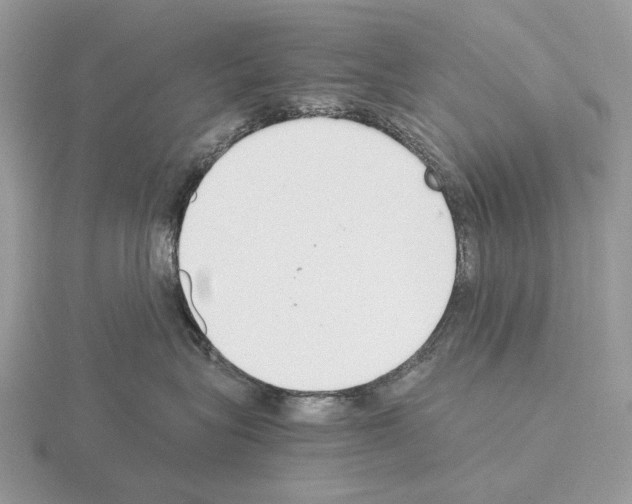 X0000115350575200912151339