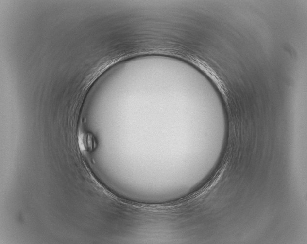 X0000115350577200912151338