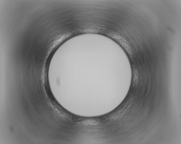 X0000115350578200912151338