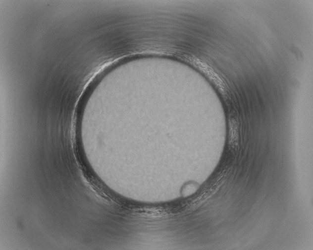 X0000115350580200912151338