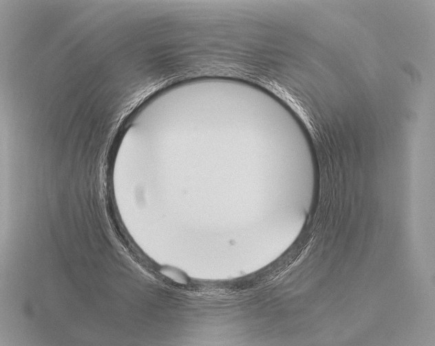 X0000115350581200912151338