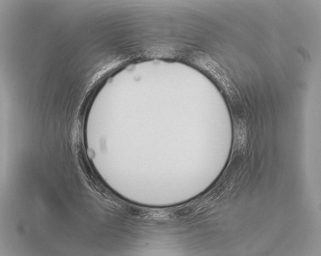 X0000115350583200912151338