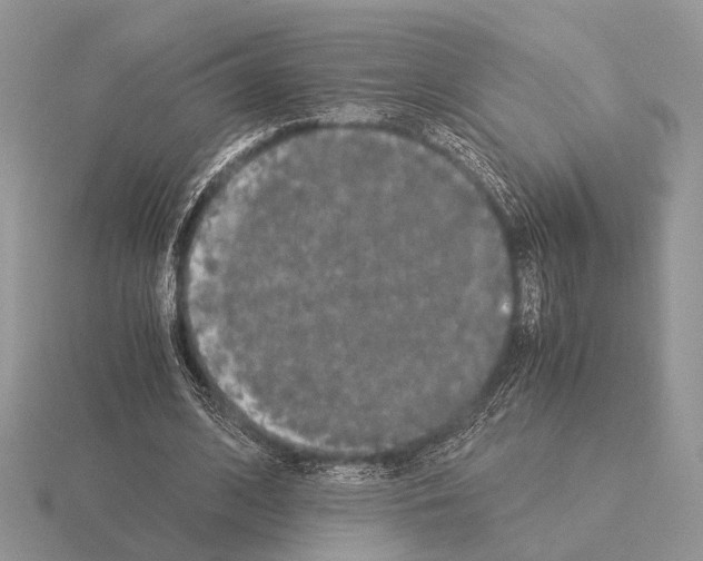 X0000115350584200912151338