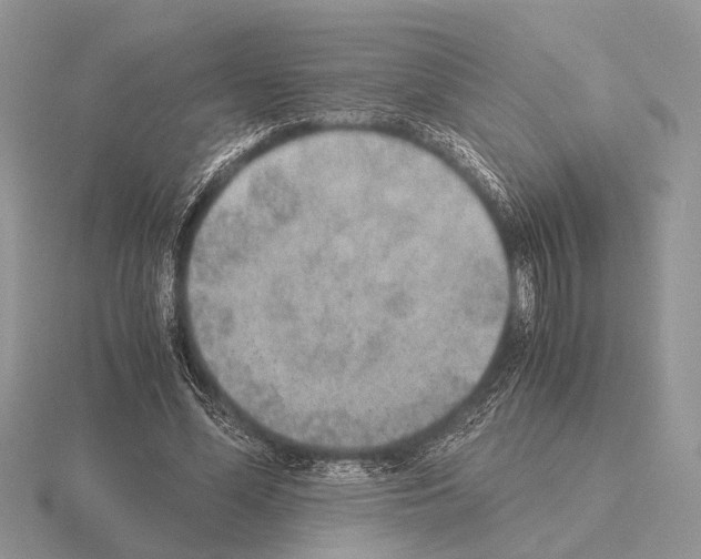 X0000115350588200912151338