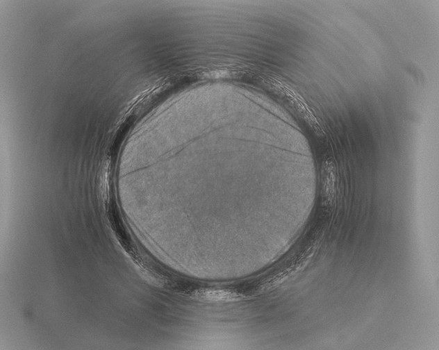 X0000115350590200912151338