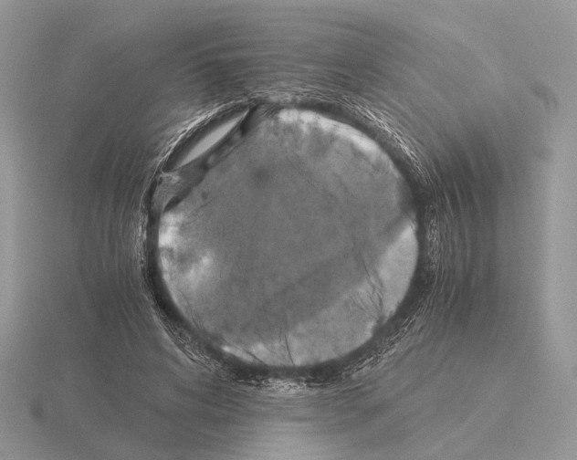 X0000115350592200912151338