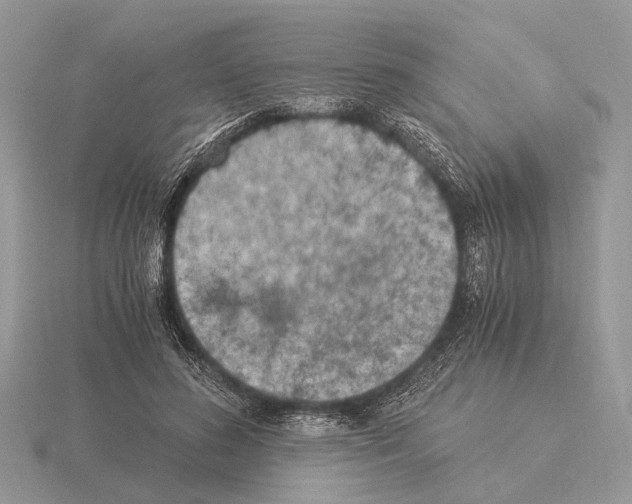 X0000115350596200912151338