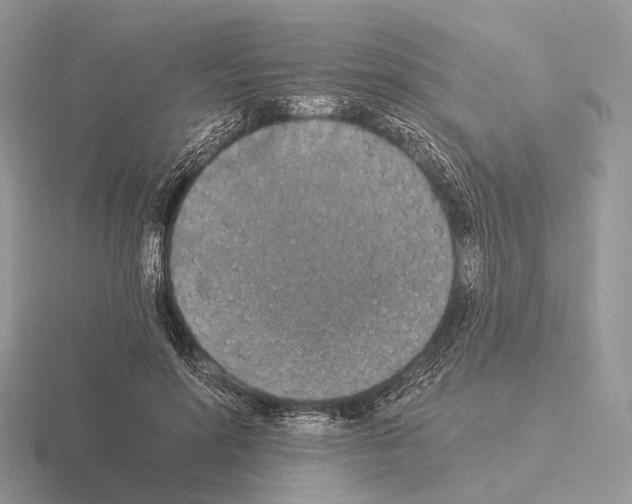 X0000115350598200912151337