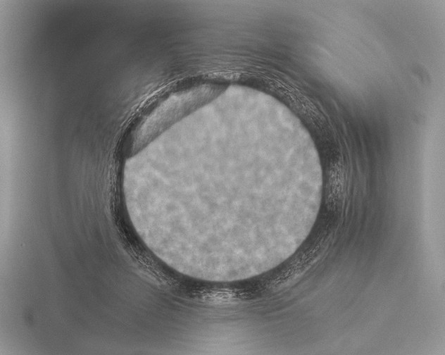 X0000115350600200912151337