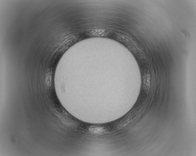 X0000115350602200912151337