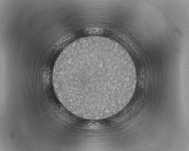 X0000115350604200912151337