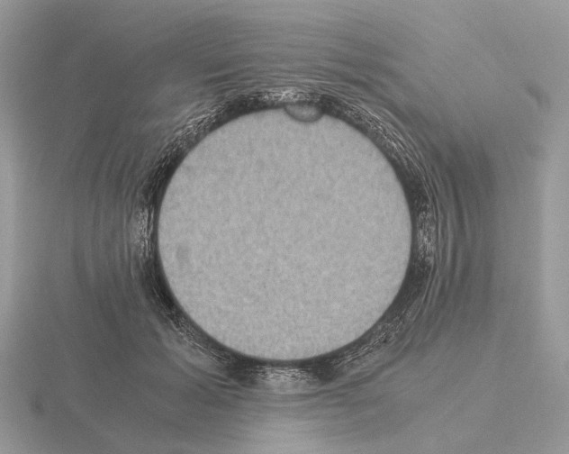 X0000115350605200912151337